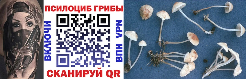 Галлюциногенные грибы Cubensis  дарк нет клад  Видное 